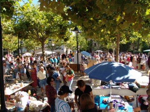 Sitemapcdatahttpsshopinf Inetcomvide Grenier Mouans Sartoux