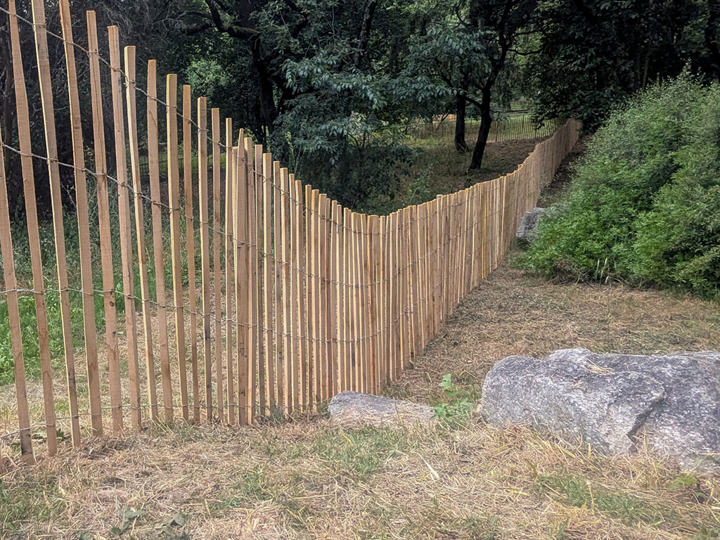 ganivelles dans la forêt de la Grand Pièce