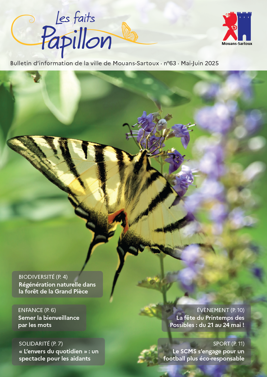 Les faits papillon N°63 (Mai-Juin 2025)